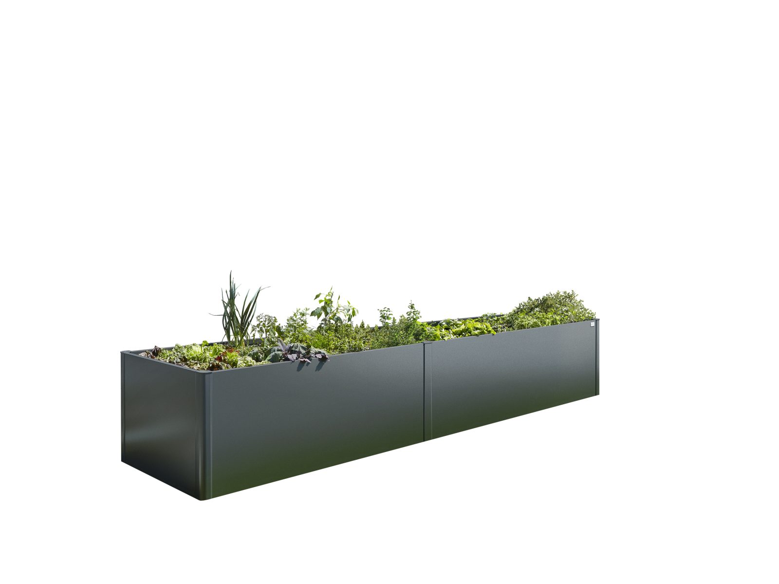 Biohort Magaságyás / HochBeet